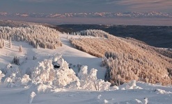 Bernau Schwarzwald: Blick vom Herzogenhorn auf die Alpenkette, im Vordergrund die Krunkelbach-H�tte � Ute Maier