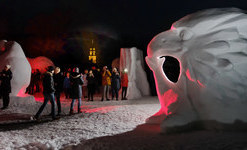 Adler in der Nacht von K�nstlerteam Flavio Prinoth und Pierluigi Orler. Foto: P. Orler.